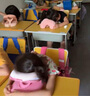 貓?zhí)游缢硇W(xué)生趴睡枕兒童午休枕頭睡覺午睡神器護(hù)胸款趴趴枕抱枕 曬單實(shí)拍圖