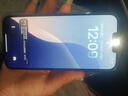 Apple iPhone 13 Pro Max 蘋果13 ProMax 5G 二手蘋果手機 國行雙卡 遠峰藍色【店長推薦 極速發(fā)貨】 【99新】128G【性價比推薦】3期免息 五星店鋪+購物無憂+三年 曬單實拍圖