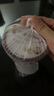 哈根達斯（Haagen-Dazs）經(jīng)典香草味大桶冰淇淋 473ml/桶 雪糕 曬單實拍圖