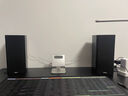 ROBERILLINE電腦2.0書架桌面音響家用教學(xué)教室用壁掛會(huì)議室臺(tái)式音箱 IBALL-X3【升級(jí)數(shù)字功放】 曬單實(shí)拍圖