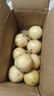 海南百香果廣西百香果 變黃變皺皮更甜 泡水喝 生吃 調(diào)味新鮮水果 10個(gè) 曬單實(shí)拍圖