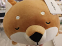 名創(chuàng)優(yōu)品（MINISO）柴犬系列毛絨公仔趴姿玩具娃娃抱枕睡覺室內(nèi)臥室辦公室生日禮物 曬單實拍圖