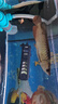 魚(yú)款 曬單實(shí)拍圖