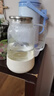 小熊（Bear）家用冷水壺高硼硅玻璃杯防燙硅膠底1.8L大容量涼水壺杯子廚房好物 曬單實拍圖