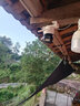 長(zhǎng)城無線家用攝像頭手機(jī)遠(yuǎn)程監(jiān)控器360度無死角帶夜視全景全景語音對(duì)話農(nóng)村家庭室外高清戶外防水球機(jī) 曬單實(shí)拍圖