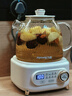 九陽(yáng)（Joyoung）凈萃全玻璃0膠水養生壺  辦公室多功能煮茶器花茶壺 燒水壺恒溫電熱水壺 24h預約保溫 1L WY107 曬單實(shí)拍圖