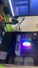 映眾幻刃256 I5 12400F/RTX5060/16G/512G固態(tài)臺式電腦游戲臺式機(jī)電腦主機(jī)全套整機(jī)國家補(bǔ)貼20% 曬單實(shí)拍圖