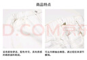 優(yōu)衣庫童裝男童女童寬松直筒長褲拉鏈款休閑寬腿褲子25新款481431 01 乳白色 150 曬單實拍圖