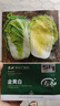 壽禾 黃心大白菜種子苗娃娃菜秋季種蔬菜種籽 金黃白白菜種子10g*3袋 曬單實拍圖