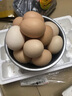 農(nóng)家土雞蛋谷物喂養(yǎng)新鮮現(xiàn)撿包郵50g/枚雞蛋生鮮鮮雞蛋水煮蛋 30枚 曬單實拍圖