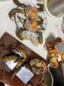 【活鮮】特大青蟹禮盒 螃蟹鮮活 超大母膏蟹公蟹肉蟹 中秋禮品 紅膏母蟹 1斤 (2只） 曬單實拍圖