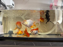 sobo松寶 魚(yú)缸自動(dòng)喂食器小型魚(yú)食投食器魚(yú)糧魚(yú)飼料智能喂魚(yú)器WIFI款 曬單實(shí)拍圖
