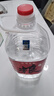 楚園春純糧食泡酒白酒清香型桶裝散裝白酒52度原漿糧酒高粱酒散白酒 52%vol 5L 1桶 實惠裝 曬單實拍圖