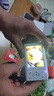 伴兮高清微單數碼相機ccd替代學(xué)生入門(mén)高像素可傳手機wifi校園高中生旅游便攜vlog小卡片機自拍照相機 白色雙屏【64G內存卡+wifi傳圖+補光燈】 曬單實(shí)拍圖