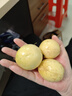 正宗廣西欽蜜9號(hào)黃金百香果毅果應(yīng)季新鮮水果 現(xiàn)摘現(xiàn)發(fā) 品質(zhì)好貨 寶寶果20個(gè)單果30g以下迷你果 曬單實(shí)拍圖