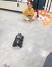 赟婭兒童遙控汽車玩具八輪越野車RC水陸兩棲坦克電動賽車兒童六一禮物 30cm【八輪八驅(qū)-水陸吉普】黑武士 曬單實拍圖