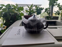 藏壺天下【七夕禮物】宜興紫砂壺純手工家用功夫茶具原礦紫茄泥小容量一人 玉乳壺 曬單實拍圖