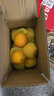 京鮮氣美國進(jìn)口新騎士黑標3107臍橙大果 sunkist黑標橙子新鮮甜橙禮盒 5斤 精選果【無(wú)禮盒】 曬單實(shí)拍圖