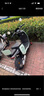 立馬電動摩托車米朵80公里長續(xù)航電動車1200W高速電摩鉛酸電池60V20Ah外賣上班代步電瓶車糖果藍綠 曬單實拍圖