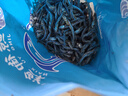 小魚干 公干魚海燕魚 自制風(fēng)干海鮮干貨 500g 曬單實(shí)拍圖