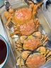 洪澤湖螃蟹【活蟹】現貨正宗江蘇大閘蟹 海鮮水產(chǎn)生鮮禮盒裝 甄選·全母蟹 單只2-2.3兩 6只 曬單實(shí)拍圖