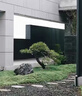 黑松造型庭院耐寒樹別墅四季常青地景造型不落葉盆景迎客松景觀樹 黑松造型【定金】 曬單實(shí)拍圖
