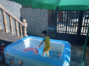 Bestway兒童游泳池寶寶小孩室內(nèi)外家用電動充氣史迪仔周邊玩具洗澡戲水池 曬單實拍圖