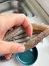牧參人大連鮮活海參鮮食海參即食海參野生新鮮刺參開(kāi)袋即食孕婦營(yíng)養(yǎng)滋補(bǔ) 鮮食海參 5-10頭 曬單實(shí)拍圖