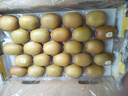 佳沛（zespri）新西蘭  陽(yáng)光金奇異果25-27粒原箱特大果單果約122-146g  獼猴桃 曬單實(shí)拍圖