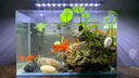 茨格曼魚缸燈led燈 防水觀賞照明燈支架燈三擋可調(diào)造景燈日光燈 黑色 X2-400三檔變色(燈長30cm) 曬單實拍圖