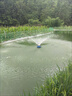 OIMG魚(yú)塘增氧機大型大功率制氧養殖增氧泵魚(yú)池充氧機打氧機養魚(yú)氧氣泵 適用0.5畝20米線(xiàn)紫銅芯0.5kw 曬單實(shí)拍圖