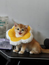 添賜力（NurseMate）寵物貓咪幼犬牛初乳營(yíng)養(yǎng)膏30ml增強(qiáng)膏貓狗通用 曬單實(shí)拍圖