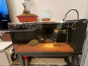 魚(yú)缸背景貼紙缸外靜電水族箱專(zhuān)用純黑色背景壁紙玻璃底部裝飾貼膜 免膠靜電磨砂黑（撕除無(wú)痕） 45cm*2m 曬單實(shí)拍圖