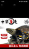 【全網(wǎng)比價(jià)】中華草龜包活精品草龜長(zhǎng)壽龜觀賞龜墨龜寵物小烏龜 草龜二只【情侶】 6-8cm 曬單實(shí)拍圖