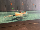 swimbobo兒童游泳圈U形 寶寶初學(xué)腋下圈防嗆水防側(cè)翻泳圈游泳裝備BO1012XL 曬單實(shí)拍圖