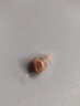 歐仕達助聽(tīng)器奧戈蘭T系列數字多通道無(wú)線(xiàn)隱形年輕人老年人耳聾耳背專(zhuān)用 右耳T23數字4通道 曬單實(shí)拍圖