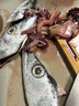 新漁姐 海釣整條帶魚(yú)(無(wú)冰) 東海小眼深海魚(yú) 海釣帶魚(yú)（700g-1000g/條）2.5kg 曬單實(shí)拍圖