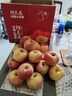 秦悅仙果鮮蘋(píng)果阿克蘇冰糖心蘋(píng)果水果禮盒新疆蘋(píng)果禮盒裝【順豐多地次日達】 新疆阿克蘇丨甄選大果9斤冰糖心更甜 曬單實(shí)拍圖