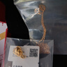 老廟黃金吊墜足金聚寶葫蘆金項(xiàng)鏈金葫蘆掛墜送媽媽老婆生日情人節(jié)禮物 金寶葫蘆約0.3g【配S925項(xiàng)鏈+禮盒】 曬單實(shí)拍圖