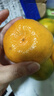 兀果語(yǔ)2025年云南密桔酸桔子當季薄皮橘子孕婦新鮮水果爆汁無(wú)核青 2斤 曬單實(shí)拍圖