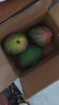 京鮮生 攀枝花凱特芒果 凈重9斤 單果400g+ 生鮮水果 源頭直發(fā) 曬單實(shí)拍圖