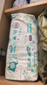 幫寶適【夏天散熱王者】一級幫嬰兒拉拉褲夏季超薄3XL40片 尿不濕尿褲 曬單實拍圖