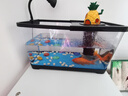 闊庭（KUOTING）魚缸水族箱生態(tài)桌面魚缸新款懶人魚缸生態(tài)造景過濾制氧一體機黑色 曬單實拍圖