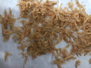 淡曬蝦皮新曬蝦皮500g淡干不咸寶寶蝦皮無(wú)添鹽晾曬海蝦皮蝦米干貨 250g-精選海蝦皮【無(wú)加鹽晾曬】 曬單實(shí)拍圖