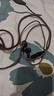 艾利和（Iriver）Astell&Kern AK T9iE 特斯拉動(dòng)圈入耳式耳機耳塞 鈦金黑 曬單實(shí)拍圖
