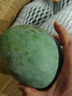 京鮮生 攀枝花凱特芒 凈重8.5斤 帶箱9斤 單果600g+ 生鮮水果 源頭直發(fā) 曬單實拍圖
