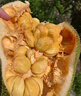 版納榴蓮蜜應(yīng)季熱帶新鮮水果手撕軟糯香甜濕苞巴掌小榴蓮整個包郵 1-2斤 曬單實拍圖