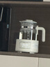 摩飛電器（Morphyrichards）全玻璃養(yǎng)生壺家用燒水壺多段控溫電熱水壺極速風(fēng)冷恒溫壺沖奶泡奶機(jī)MR5602 1.2L 椰奶白 曬單實(shí)拍圖
