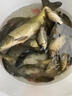 金龍 魚餌野釣窩料五谷雜糧底窩鯽魚鯉魚草魚青魚水庫重窩巨物打窩料 巨物霸草魚鯉魚巨物套餐1 曬單實拍圖
