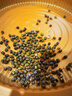農(nóng)家綠豆 中小顆粒 新豆打豆?jié){發(fā)豆芽綠豆湯綠豆沙粽子 小粒綠豆100g 曬單實拍圖